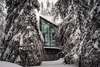 Курортные отели Magical Pond Nature Igloos Рука-6