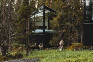 Курортные отели Magical Pond Nature Igloos Рука Трехместный номер с окном-10