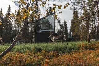 Курортные отели Magical Pond Nature Igloos Рука Трехместный номер с окном-21