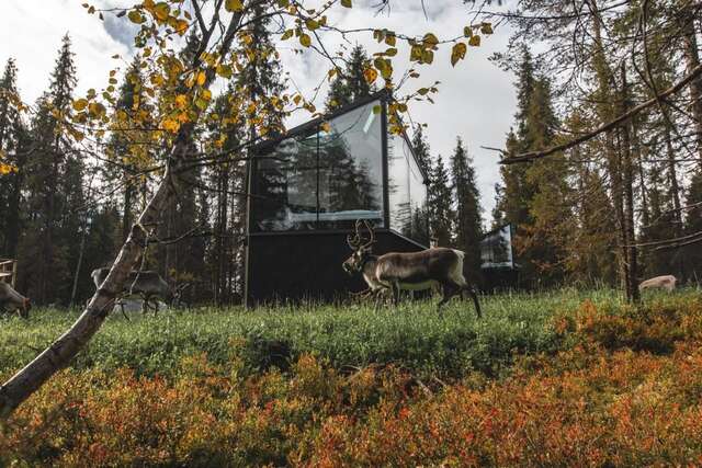 Курортные отели Magical Pond Nature Igloos Рука-24